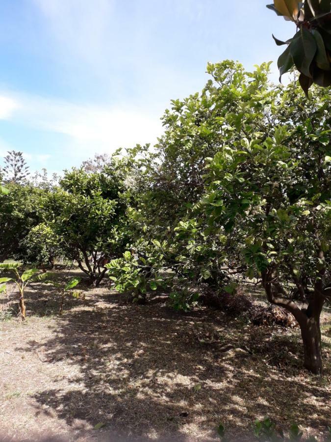 Casa Agrumeto Stromboli Exteriér fotografie